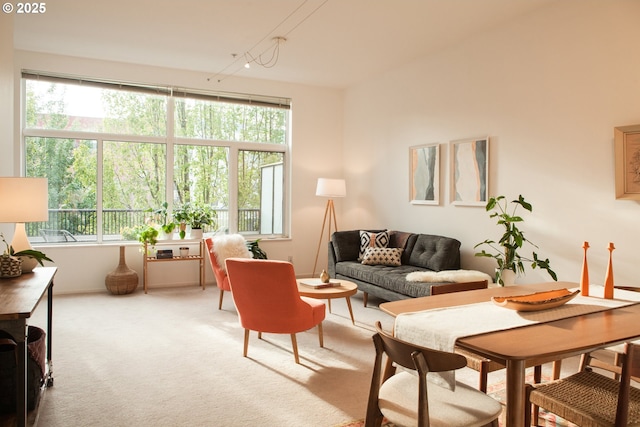 living area with carpet flooring