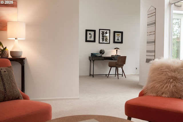 sitting room featuring carpet flooring