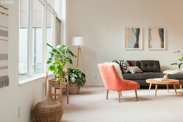 carpeted living area featuring a wealth of natural light