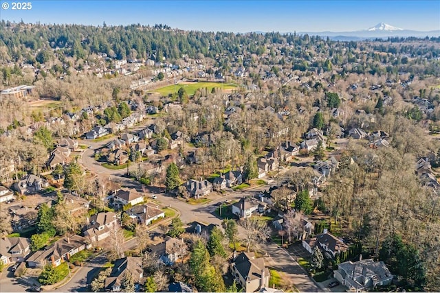 birds eye view of property featuring a mountain view