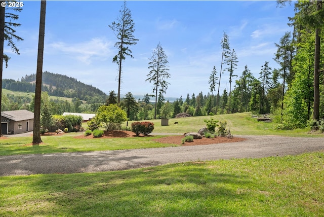 view of property's community with a yard