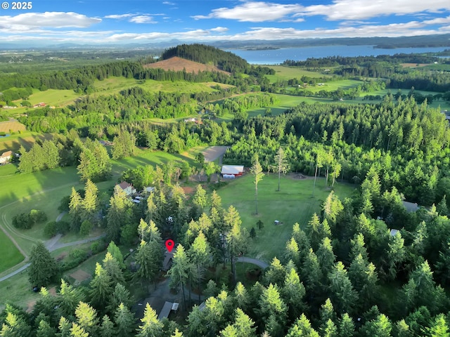 aerial overview of property's location with a nearby body of water and a forest