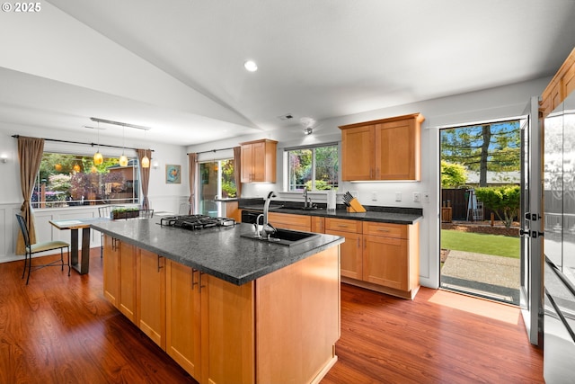 kitchen with lofted ceiling, dark wood-style floors, an island with sink, and a sink