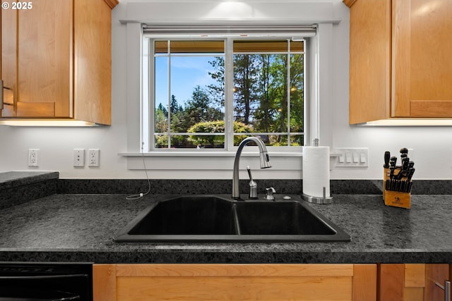 kitchen featuring a sink, dark countertops, and dishwasher