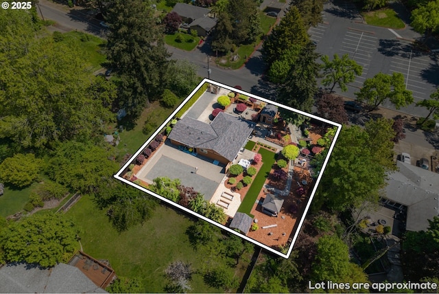 drone / aerial view