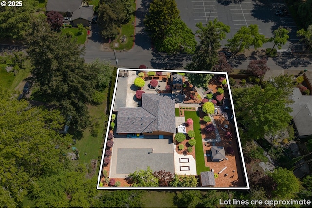 bird's eye view