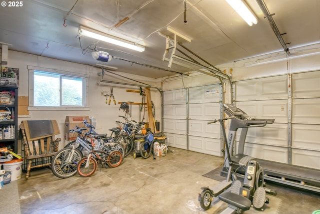 garage with a garage door opener