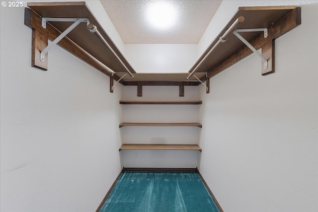 65257 E Sandy River Ln, Rhododendron, OR 97049 - spacious closet with carpet flooring