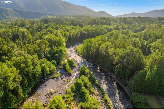 65257 E Sandy River Ln, Rhododendron, OR 97049 - view of mountain backdrop with a forest