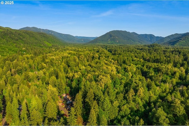 65257 E Sandy River Ln, Rhododendron, OR 97049 - view of mountain backdrop with a forest