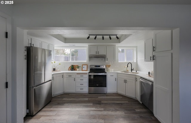 kitchen featuring dark wood finished floors, decorative backsplash, stainless steel appliances, under cabinet range hood, and a sink