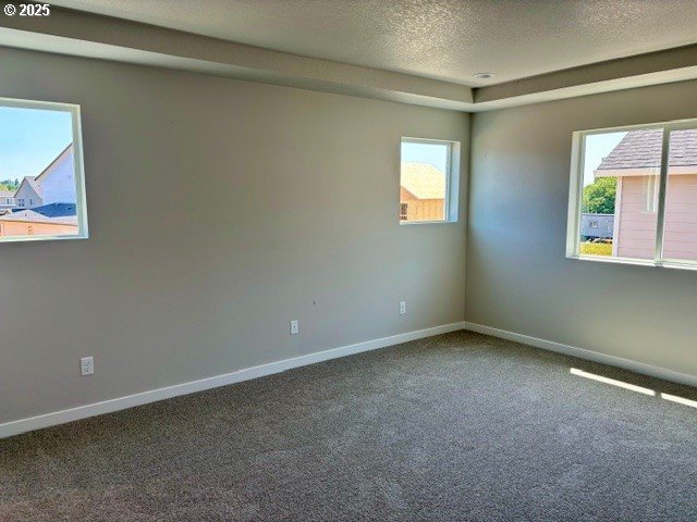 1747 N Millican Creek St, Lafayette, OR 97127 - carpeted spare room featuring baseboards and a textured ceiling