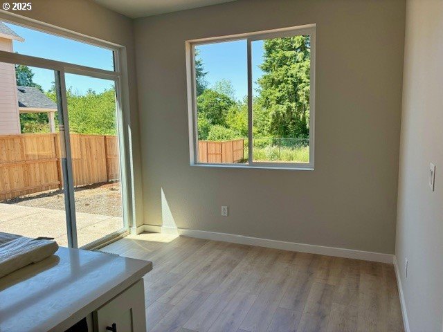 1747 N Millican Creek St, Lafayette, OR 97127 - empty room with plenty of natural light, baseboards, and light wood-type flooring