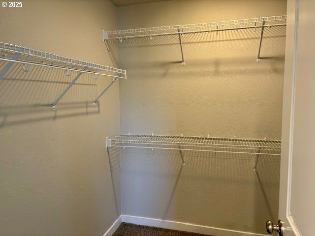 1747 N Millican Creek St, Lafayette, OR 97127 - view of walk in closet