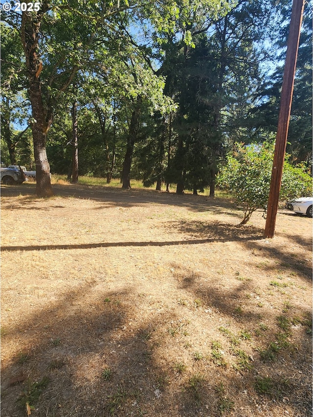 544 Lou Gray Dr, Myrtle Creek, OR 97457 - view of yard