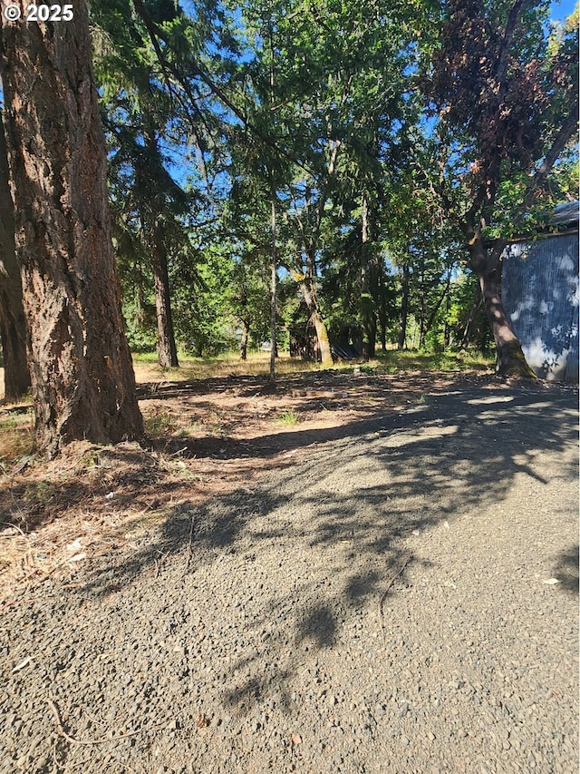544 Lou Gray Dr, Myrtle Creek, OR 97457 - view of yard