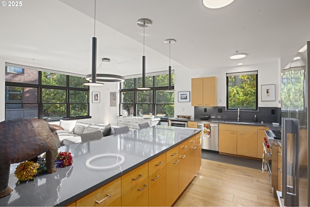 kitchen featuring tasteful backsplash, sink, light hardwood / wood-style flooring, hanging light fixtures, and stainless steel appliances