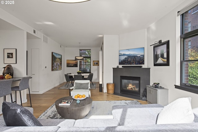 living room featuring light hardwood / wood-style flooring