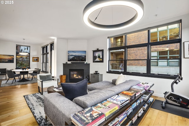 living room featuring hardwood / wood-style flooring