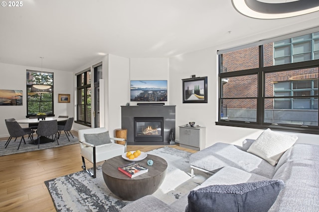 living room featuring light wood-type flooring