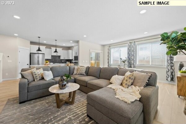 living room with wood-type flooring