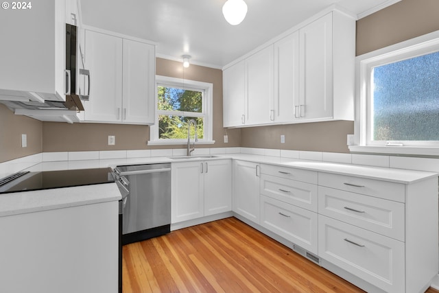 kitchen with a sink, dishwasher, white cabinets, and light wood finished floors