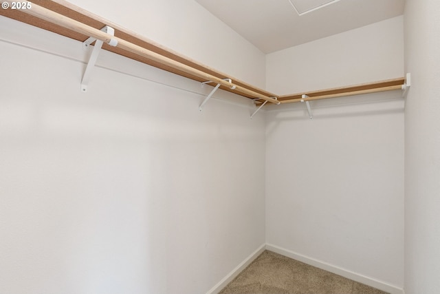 202 Edgewater Dr, Carson, WA 98610 - walk in closet with carpet flooring