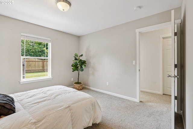 202 Edgewater Dr, Carson, WA 98610 - bedroom featuring carpet