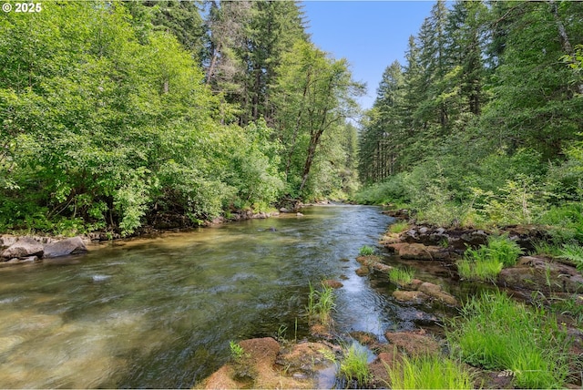 202 Edgewater Dr, Carson, WA 98610 - water view with a heavily wooded area