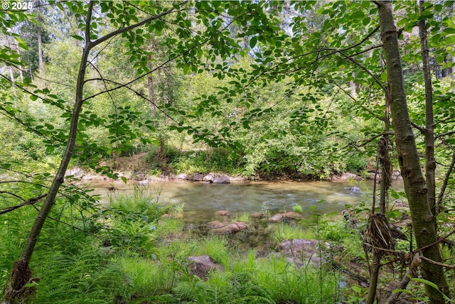 202 Edgewater Dr, Carson, WA 98610 - view of wooded area
