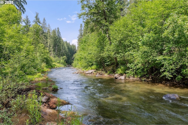 202 Edgewater Dr, Carson, WA 98610 - water view featuring a forest