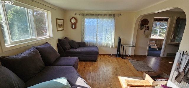 33261 Ophir Rd, Gold Beach, OR 97444 - living room with arched walkways, wood-type flooring, crown molding, and baseboards