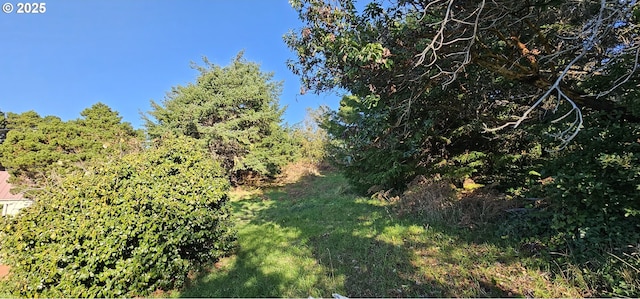 33261 Ophir Rd, Gold Beach, OR 97444 - view of local wilderness