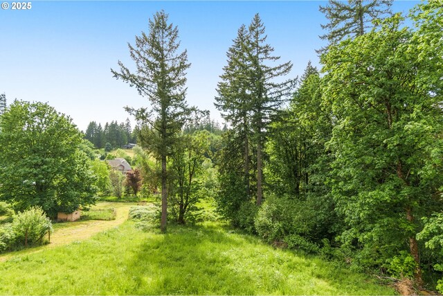 59787 Kimmell Ln, Saint Helens, OR 97051 - view of yard