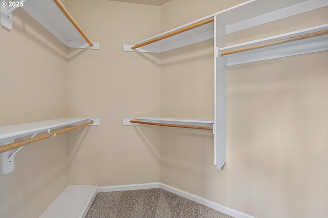 3578 NW Gerritz Ter, Portland, OR 97229 - spacious closet featuring carpet