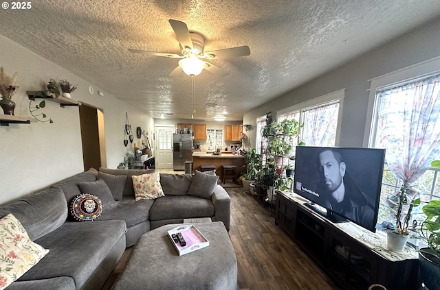 living room with ceiling fan, dark hardwood / wood-style floors, and a textured ceiling