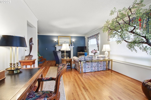 living area with wood finished floors and a fireplace