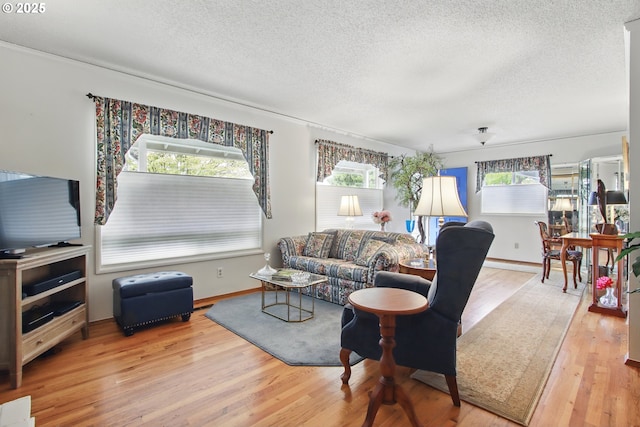 living room with wood finished floors, a textured ceiling, and baseboards