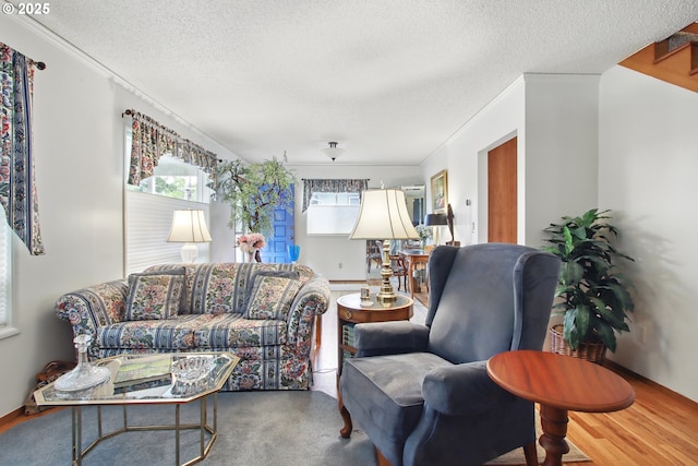 living room with ornamental molding and a textured ceiling