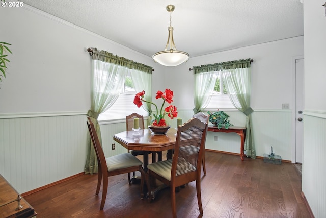 dining room with wood finished floors, a textured ceiling, baseboards, and wainscoting