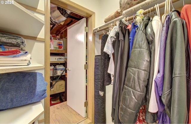 view of walk in closet