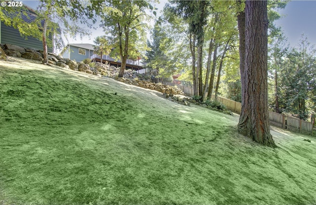 view of yard