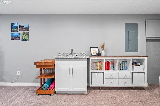 6955 N Concord Ave, Portland, OR 97217 - playroom with electric panel, carpet flooring, baseboards, and a sink