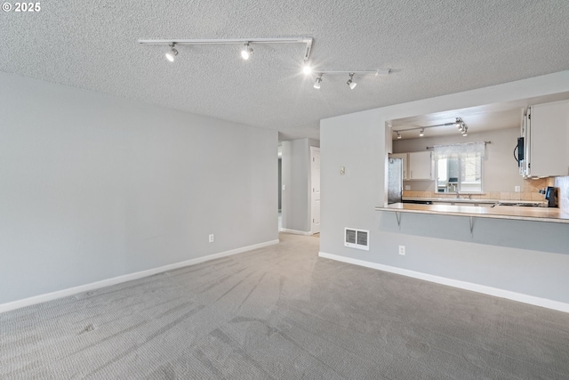 13216 NE Salmon Creek Ave Unit E8, Vancouver, WA 98686 - unfurnished living room with track lighting, baseboards, carpet flooring, a sink, and a textured ceiling