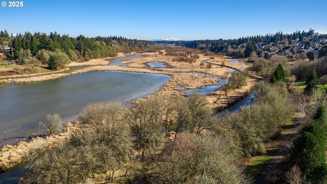 13216 NE Salmon Creek Ave Unit E8, Vancouver, WA 98686 - water view