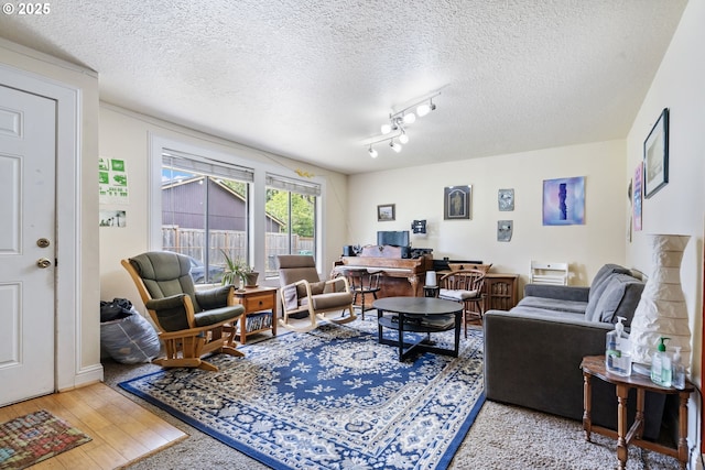living room featuring light wood-style flooring, a textured ceiling, and rail lighting