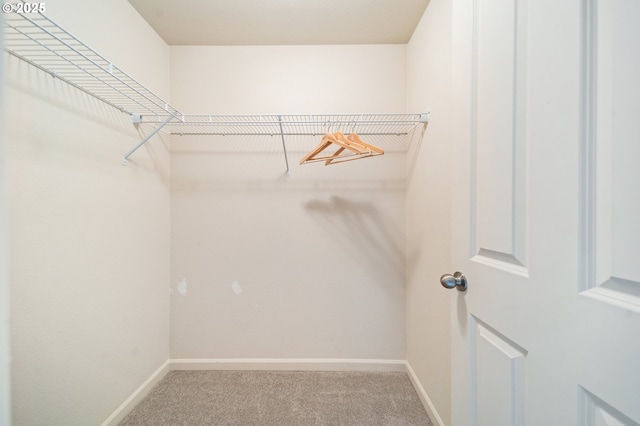 10664 NE Holly St # 206, Hillsboro, OR 97006 - spacious closet with carpet