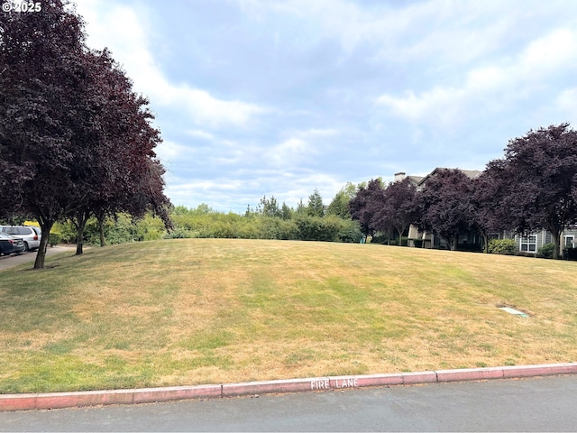 10664 NE Holly St # 206, Hillsboro, OR 97006 - view of property's community