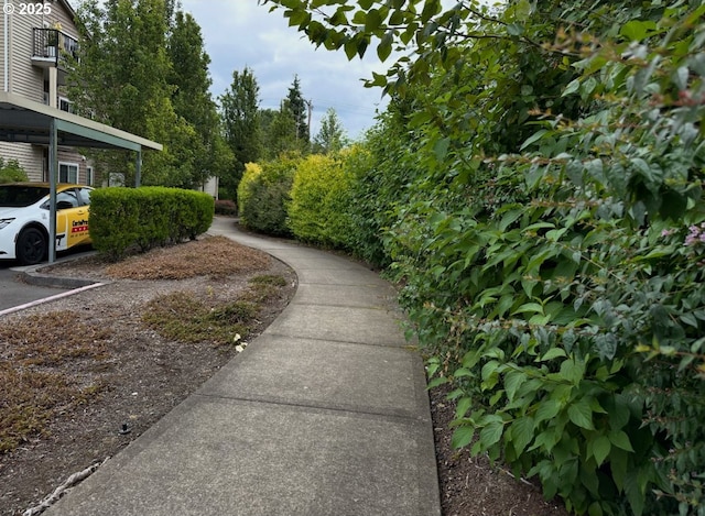 10664 NE Holly St # 206, Hillsboro, OR 97006 - view of yard