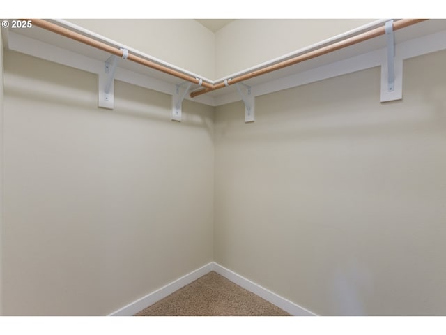 spacious closet featuring carpet flooring